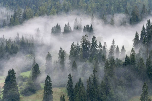 Foggy Morgon Glänta Tatrabergen — Stockfoto