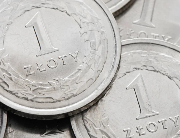 Coin Zloty 폴란드 — 스톡 사진
