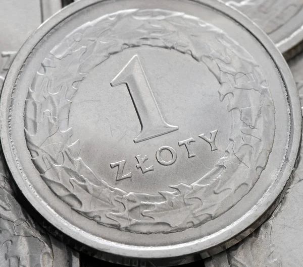 Moeda Zloty Moeda Polónia — Fotografia de Stock