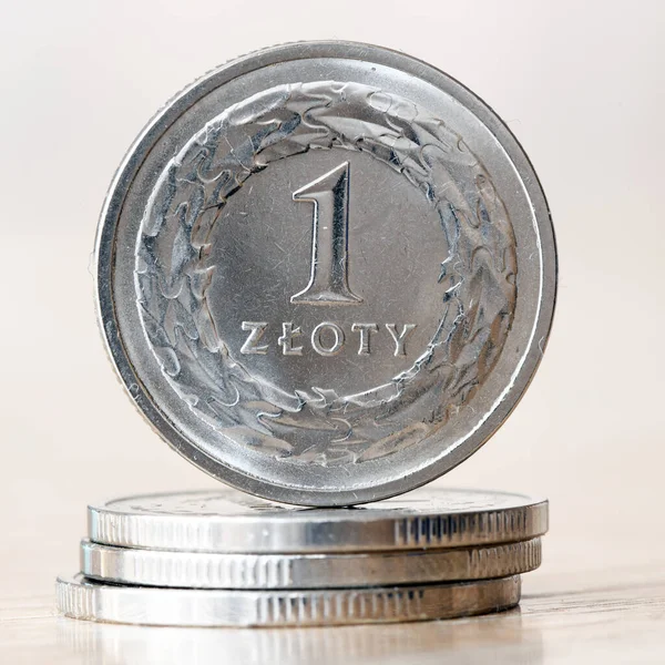 Moneda Zloty Moneda Polonia — Foto de Stock