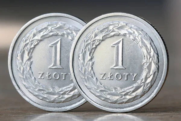 Moneta Zloty Valuta Polonia — Foto Stock