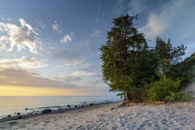 The landscape on the Baltic Sea.