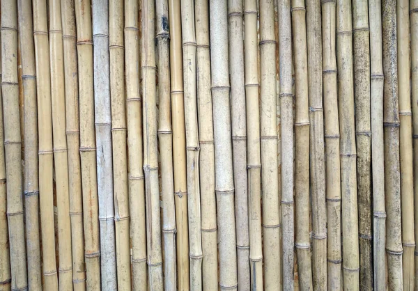 Bambu Como Fundo Textura — Fotografia de Stock