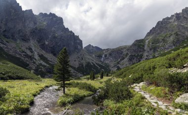 Güneşli bir günde Tatras 'taki dağ manzarası