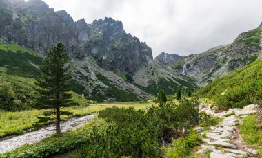 Güneşli bir günde Tatras 'taki dağ manzarası