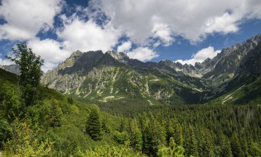 Güneşli bir günde Tatras 'taki dağ manzarası