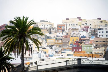 Gran Kanaryası Ciudad Alta, Las Palmas 'da birçok renkli ev. 
