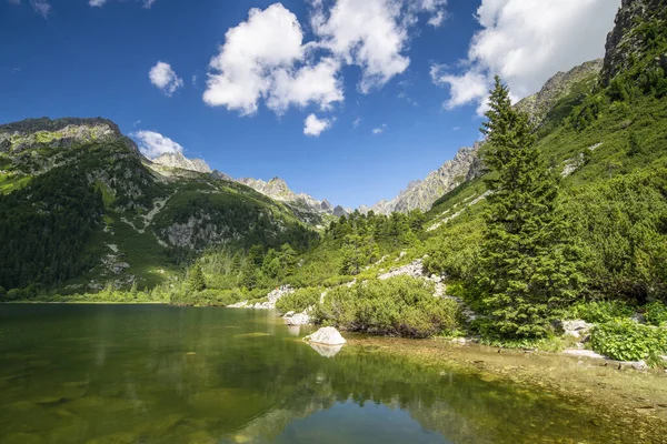 Güneşli bir günde Tatras 'taki dağ manzarası