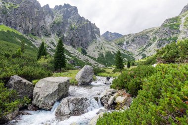 Güneşli bir günde Tatras 'taki dağ manzarası