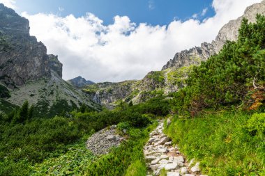 Güneşli bir günde Tatras 'taki dağ manzarası