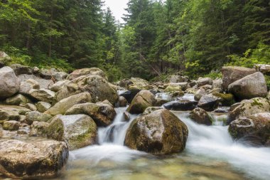 Güneşli bir günde Tatras 'taki dağ manzarası