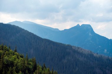 Güneşli bir günde Tatras 'taki dağ manzarası