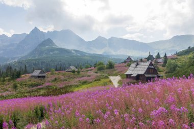 Güneşli bir günde Tatras 'taki dağ manzarası