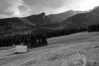 Tatra Dağları 'ndaki eski ahşap kulübeler