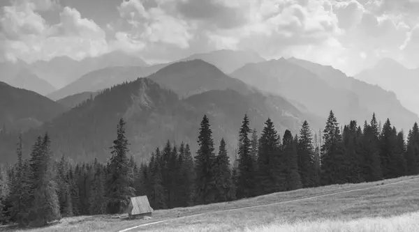 Mountain Landscape Tatras Sunny Day Stock Picture