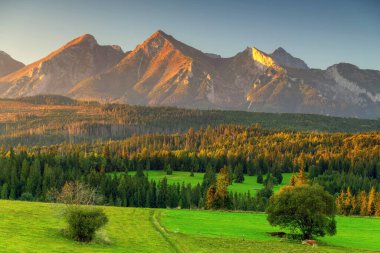 Güneşli bir günde Tatras 'taki dağ manzarası