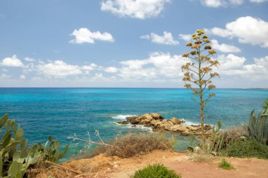 Turkuvaz suları, kumlu bir plaj, kayalık kıyı şeridi ve açık mavi gökyüzü içeren nefes kesici Kıbrıs Akdeniz manzarası. Yaz tatilleri, turizm ve doğa aşıkları için mükemmel bir tatil yeri..