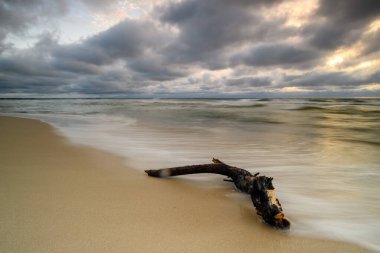The landscape on the Baltic Sea.
