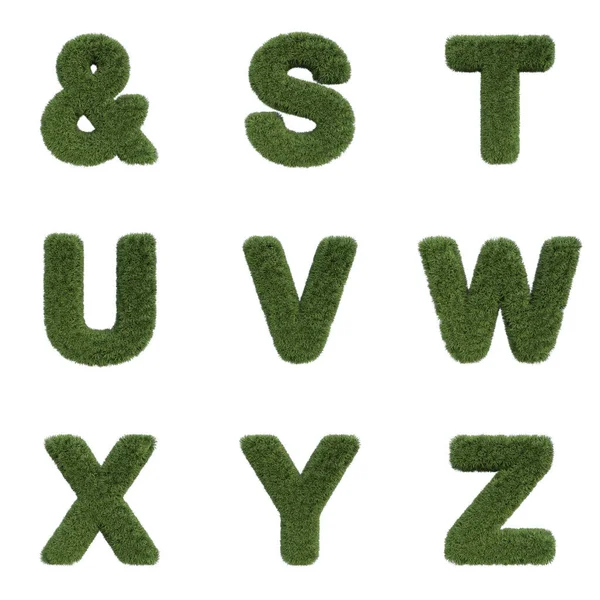 Render Set Grass Font Including Letters Numbers Punctuation Marks Isolated Fotografias De Stock Royalty-Free