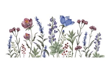 Border of blue and burgundy wildflowers and plants on a white background, watercolor illustration. clipart