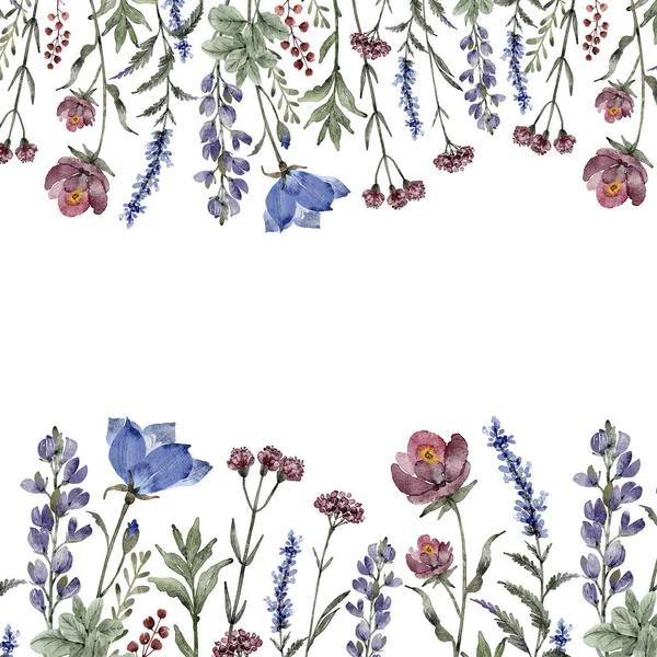 Border of blue and burgundy wildflowers and plants on a white background, watercolor illustration.