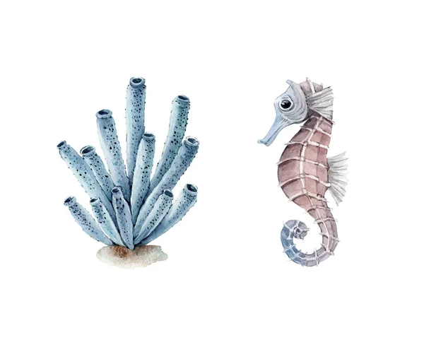 Set Watercolor Illustrations Nautical Style Bush Corals Seahorse Hand Painted — Stock Photo, Image