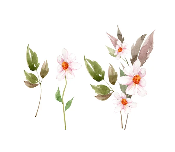 Zestaw Akwarelowych Ilustracji Białych Kwiatów Bukietów Ręcznie Malowane Projektowania Zaproszeń — Zdjęcie stockowe