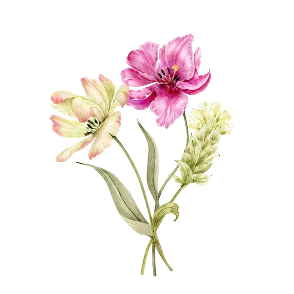Букет Цветов Тюльпана Акварель Белом Фоне — стоковое фото
