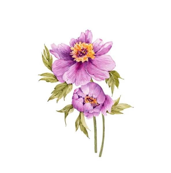 Boeket Van Roze Pioenrozen Bloemen Aquarel Illustratie Geïsoleerd Witte Achtergrond — Stockfoto