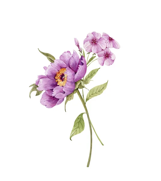 Buquê Flores Peônias Rosa Ilustração Aquarela Isolado Fundo Branco — Fotografia de Stock