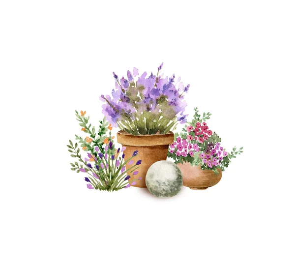 Trädgård Blommor Krukor Och Växter Akvarell Illustration Isolerad Vit Bakgrund — Stockfoto