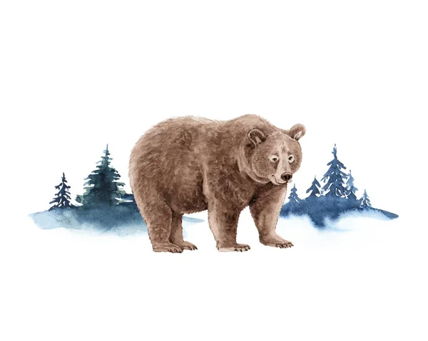 Grizzly Urso Animal Fundo Floresta Aquarela Ilustratio — Fotografia de Stock