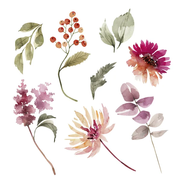 Set Watercolor Illustrations Pink Flowers Plants White Background Hand Painted — стоковое фото