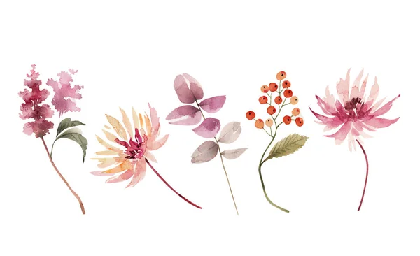 Set Watercolor Illustrations Pink Flowers Plants White Background Hand Painted — стоковое фото