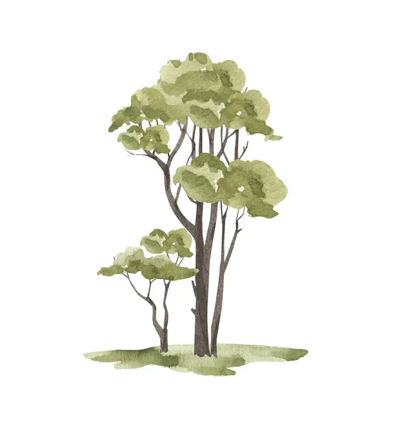 Akvarell Illustration Träd Natur Skog Vit Bakgrund — Stockfoto