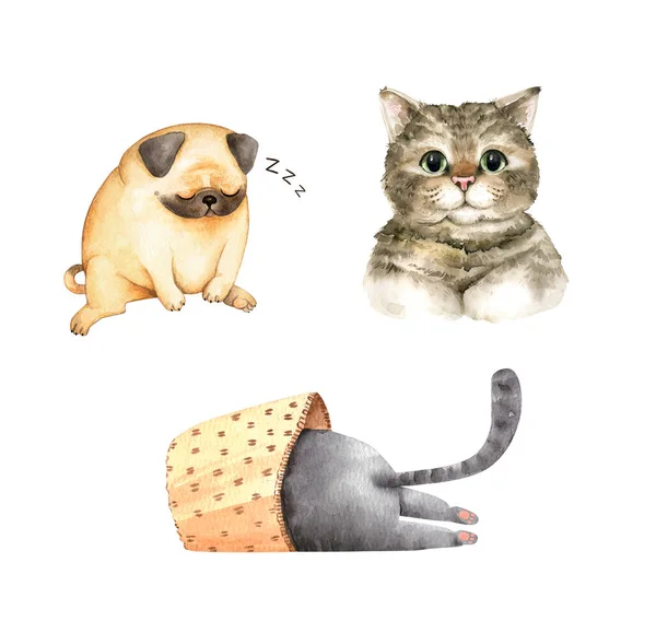 Haustiere Katzen Und Hunde Auf Weißem Hintergrund Aquarellillustrationen — Stockfoto