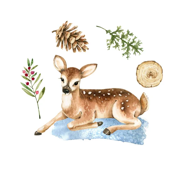 Akvarell Készlet Erdei Állat Szarvas Növények Bogyók Illusztrációk Téli Szünetekhez — Stock Fotó