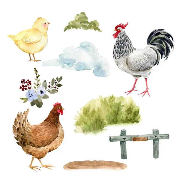 白地に鶏と自然のセット 水彩画のイラスト — ストック写真