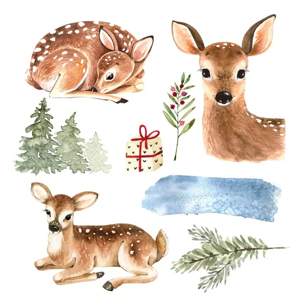 Reihe Von Aquarell Illustrationen Von Naturwald Und Tierischem Junghirsch — Stockfoto