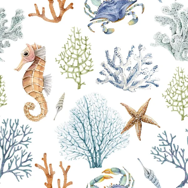 Saumaton Kuvio Akvarelli Kuvia Koralleja Eläimiä Meren Tyyliin Valkoisella Pohjalla — kuvapankkivalokuva