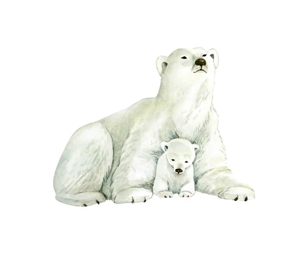 Tierischer Weißer Eisbär Mit Jungtier Aquarell Illustration — Stockfoto