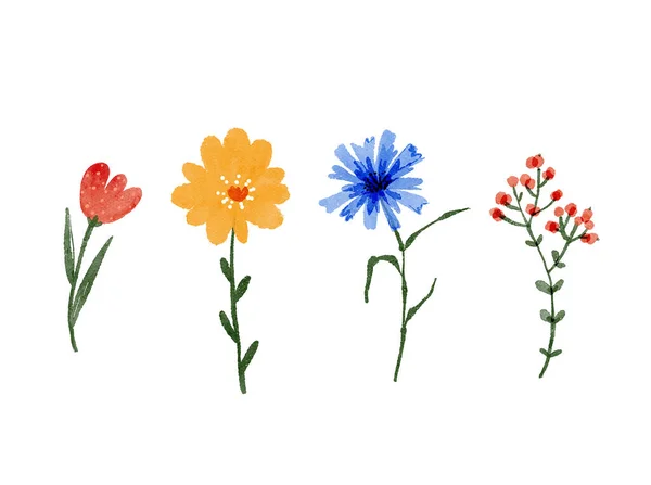 Set of colorful garden flowers isolated on white background.