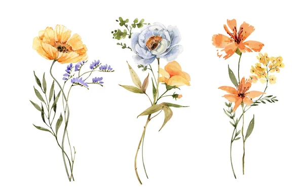 Set of flower bouquets, watercolor illustrations. for the design of wedding invitations, anniversaries, birthdays, cards, greetings.