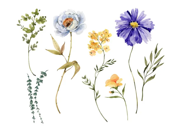 白地に色とりどりの花や植物が描かれた水彩画のセット — ストック写真