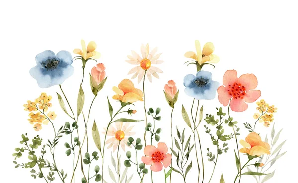 色彩艳丽的草甸花边 水彩画设计图 — 图库照片