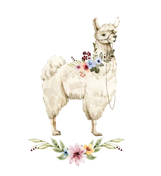 Weiße Alpaka Niedliche Flauschige Tier Mit Blumensträußen Aquarell Illustration — Stockfoto