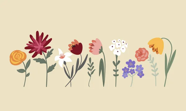 Σύνολο Πολύχρωμα Λουλούδια Στον Κήπο Ένα Ελαφρύ Φόντο Διανυσματική Απεικόνιση — Διανυσματικό Αρχείο