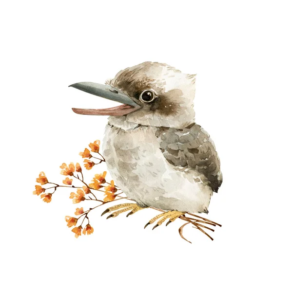 Australischer Kookaburra Vogel Auf Einem Zweig Mit Blumen Aquarell Illustration — Stockfoto