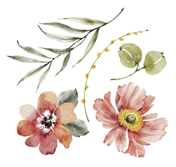 Röda Blommor Och Växter Uppsättning Akvarell Illustrationer — Stockfoto