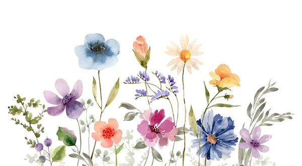 Granica Delikatnych Wielobarwnych Kwiatów Ilustracja Akwarela Dla Projektu — Zdjęcie stockowe